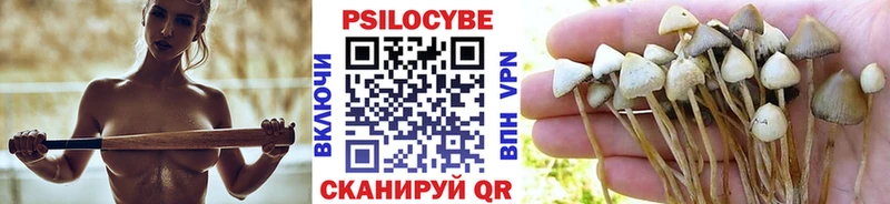 даркнет формула  блэк спрут как зайти  Липецк  Псилоцибиновые грибы Psilocybe 
