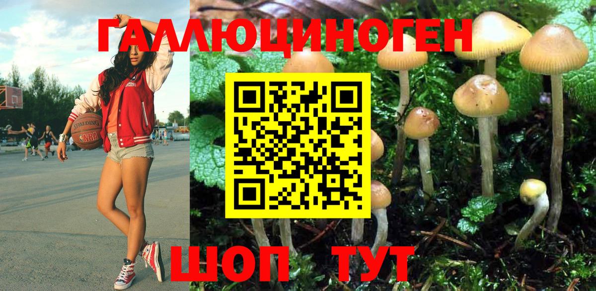 Липецк  Галлюциногенные грибы мицелий  Вход с VPN 